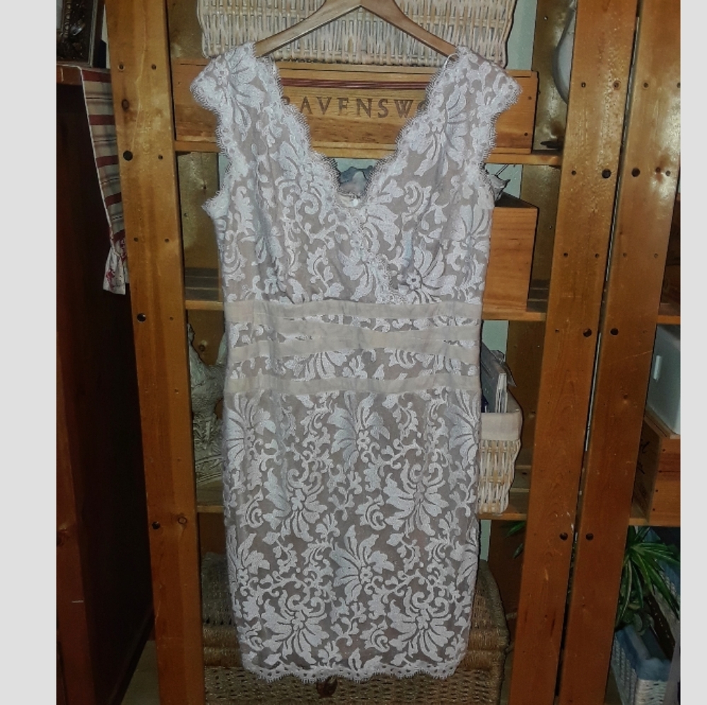 TADASHI SHODJI White and Creme Embroidered lace